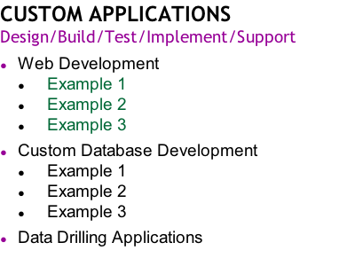 CUSTOM APPLICATIONS Design/Build/Test/Implement/Support  Web Development      Example 1      Example 2      Example 3  Custom Database Development 					Example 1      Example 2      Example 3  Data Drilling Applications